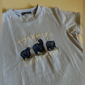 NWOT Brandy Melville Yosemite Baby Tee in Light Blue